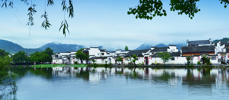 品牌傳播 BRANDING